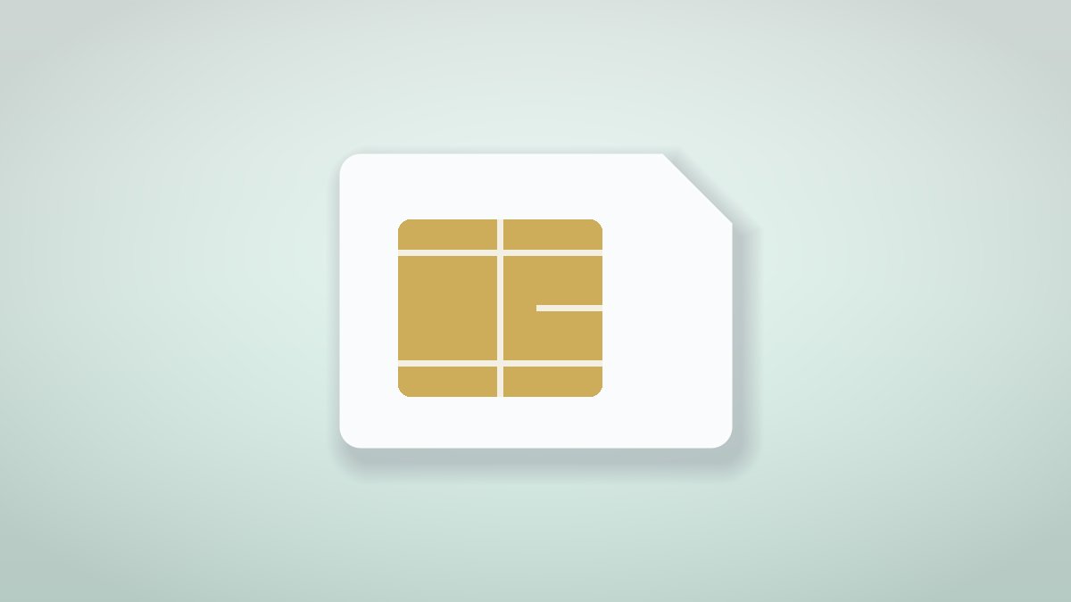 A SIM card
